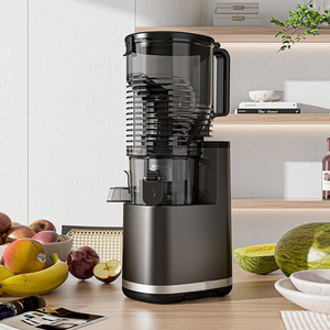 Exprimidor Lento Comercial Personalizado de 250W, Potente, de 6.57 Pulgadas de Calibre Grande, de Baja Velocidad, <span class=keywords><strong>sin</strong></span> Filtro - Product Image 2