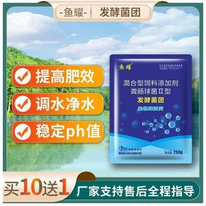 Bacterias de Fermentación Yu Yao, 1 Bolsa por Caja, para Regulación y Purificación de Agua en Acuicultura - Product Image 4