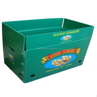 Op maat gemaakte gegolfde stevige fruitdozen, geventileerd, waterbestendig, matte laminatie, exportverzenddozen