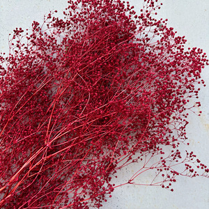 Venta al por mayor de fábrica: Gypsophila Million Star preservada, flor pequeña para ramo nupcial bohemio, relleno floral aéreo - Product Image 4