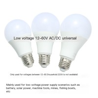 Lampe à LED AC/DC 12V 24V 36V 48V 60V Ampoules basse tension-Haute luminosité pour la construction, la pêche, les bateaux et l'éclairage par batterie