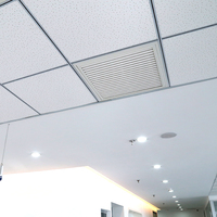 Composants de grille de plafond en acier galvanisé T24, barre en T rainurée pour dalles de plafond, barre en T plate étroite pour cadres de plafond suspendus 32/38