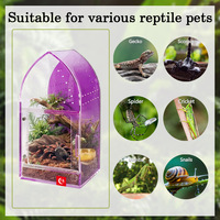 Terrarium en acrylique pré-assemblé gothique ultra-transparent, étanche et sans jointure pour reptiles/aroïdes