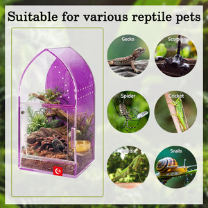 Terrarium en acrylique pré-assemblé gothique ultra-transparent, étanche et sans jointure pour reptiles/aroïdes - Product Image 5