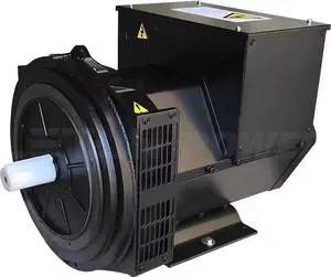 Leton điện 3 giai đoạn 50kw AC đồng bộ Dynamo giá Pakistan alternator Máy phát điện 50kw alternator 230V 50Hz prezzo