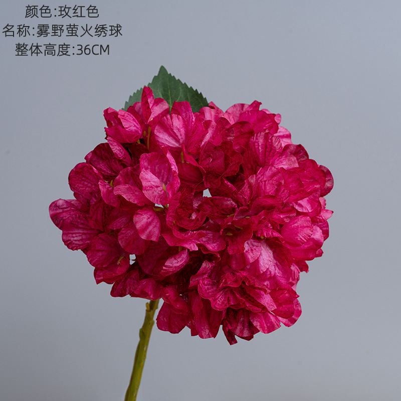 Rose rouge