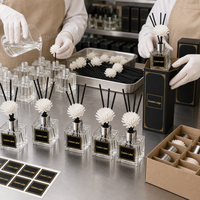 Diffuseur de parfum en verre personnalisé avec bâtonnets et huile, sans plomb, capacité 50 ml, pour la maison