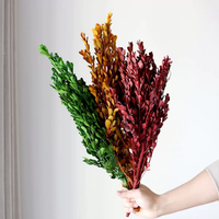Fleurs décoratives de Noël, plantes naturelles, véritables, préservées, buis, petites feuilles de buis pour couronnes de Noël