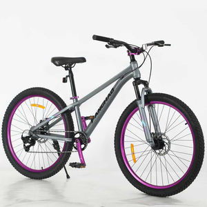 Vélo tout-terrain <span class=keywords><strong>VTT</strong></span> de 29 pouces avec fourche à suspension en aluminium et système de freinage à disque en alliage d'aluminium et d'acier Type de pédale ordinaire - Product Image 5