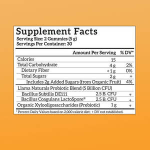 <strong>Private</strong> <strong>Label</strong> 1 Billion CFUs Berry Probiotic Gummy Chewable Probiotic Supplement - Product Image 2