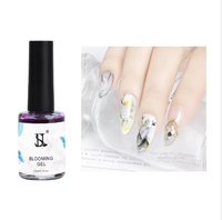 Vernis à ongles gel UV Soak Blossom HS Private Label 15ml 12 couleurs Non toxique Végan Écologique OEM/ODM en gros