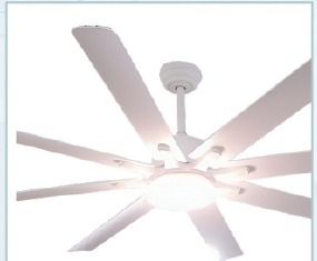 พัดลม HVLS โครงสร้างโลหะ มอเตอร์ AC ความเร็วต่ำ ปริมาณลมสูง (8 ฟุต ถึง 27 ฟุต) สำหรับใช้งานเชิงพาณิชย์และอุตสาหกรรม - Product Image 2