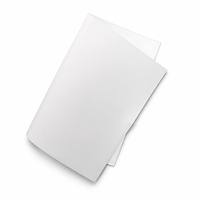 Papier en rouleau jumbo offset léger 60 g/m², surface lisse, base en pâte vierge, pour la fabrication d'étiquettes et d'autocollants