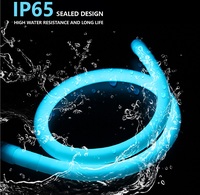 Production de fabrication de lampes au néon personnalisées Lumière extérieure à led de type rond D18mm 24V WS2811 SPI adressable RGBIC Led Strip Lights