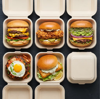 6 inch biologisch afbreekbare, waterbestendige, magnetronbestendige hamburgerverpakking van suikerrietpulp, clamshell doos voor lunch