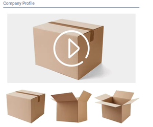 Control de Juego Inalámbrico Bluetooth S0ny FO-5 5 Pro Usado, Material ABS, Blanco, 1 Año de Garantía para Pro - Product Image 3