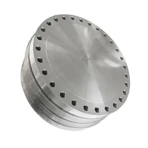 Flange cieche per saldatura filettate piatte cieche in acciaio inossidabile al carbonio A105 FF RF