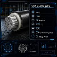 Câble à âme en aluminium YJLV, 1 conducteur, 120-630 mm², câble basse tension, gaine anti-fumée sans halogène, câble d'alimentation