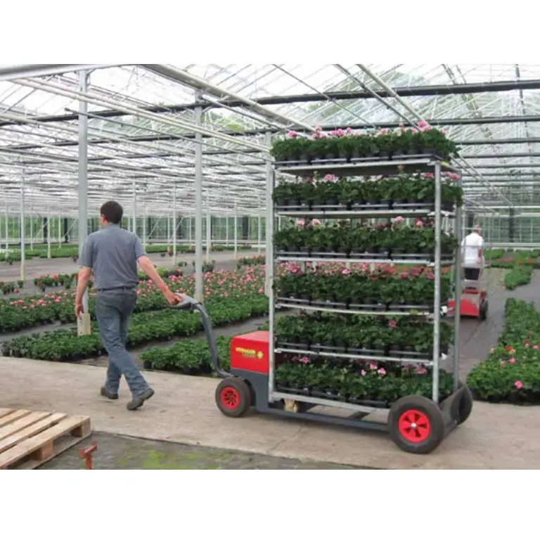 Flatbed Pallet Cart Platform Trolley for Warehouse Greenhouse Workshop Using