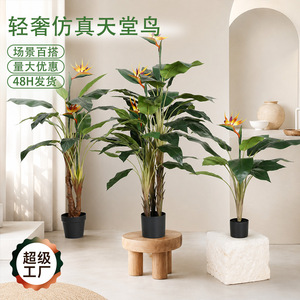 Plante artificielle Oiseau de paradis Dream Castle en plastique PE, décoration intérieure, ameublement, verdure, plante en pot - Product Image 5