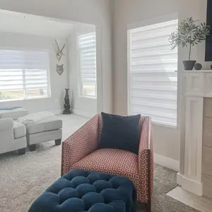 Wifi electric solar power zebra dual shades for living room