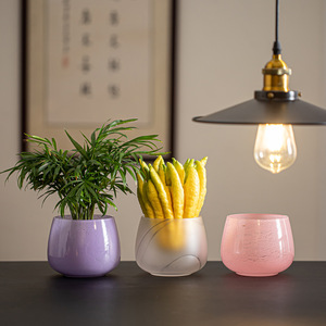 Wuxitang Glass Hydroponic Planter For Desktop Indoor Green Plant Buddha's Hand Citron Display <b>Container</b> Jianshui Style - Product Image 1