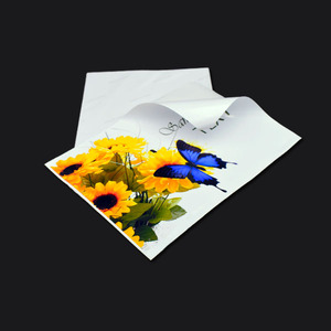 <span class=keywords><strong>Papier</strong></span> <span class=keywords><strong>autocollant</strong></span> <span class=keywords><strong>brillant</strong></span> imperméable imprimé 135 g/m² format A4, <span class=keywords><strong>papier</strong></span> photo vinyle pour <span class=keywords><strong>imprimante</strong></span> jet d'encre - Product Image 4