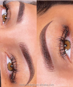 <span class=keywords><strong>Perma</strong></span> Sosa OEM popular al por mayor labios ceja pigmento semi permanente muestra gratuita personalización suministrada - Product Image 4