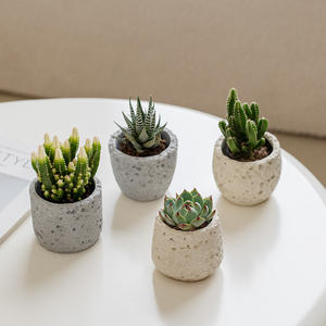 Pot à fleurs miniature vide en cire aromathérapeutique bohème en ciment pour la décoration de bureau/de bureau, pour plantes succulentes - Product Image 3