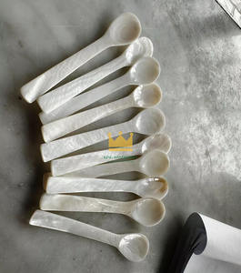 Cuchara Artesanal Moderna y Ecológica de Concha Marina con Madreperla Natural para Helado y Caviar, Ideal para Regalos de Fiesta - Product Image 5