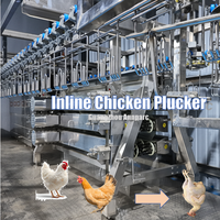 Ligne d'abattage automatique de volailles industrielle 800 BPH # Usine de transformation de poulet tout-en-un en acier inoxydable 304, équipement d'abattoir