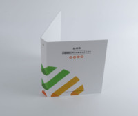 Benutzer definiertes Logo Langlebiger 3-Ring-Binder-Ordner Kunststoff-Präsentation datei ordner mit Taschen-und Boardmuster-Buch material