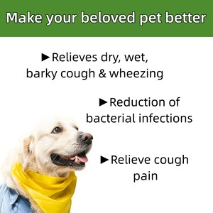 हेन्यान थोक पालतू खांसी की तरल बूंदों के पूरक समर्थन से कुत्तों और बिल्लियों के लिए खांसी और व्हीइजिंग पूरक - Product Image 3