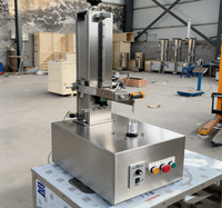 Elektrische Mango Pompoen Schiller Fruit Rauwe Groene Mango Snijder voor Groenten Fruit Schilmachine
