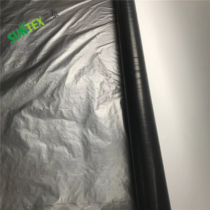 Film de paillage agricole noir <span class=keywords><strong>argent</strong></span>é <span class=keywords><strong>en</strong></span> plastique, couverture du sol, hydratant et anti-insectes, LDPE avec film de paillage UV - Product Image 4