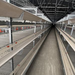 Équipement de cage à <span class=keywords><strong>poules</strong></span> <span class=keywords><strong>pondeuses</strong></span> de type H de haute qualité avec acier galvanisé à chaud, <span class=keywords><strong>abri</strong></span> et enclos multifonctionnels - Product Image 5
