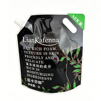Pochette à bec verseur personnalisée en PA/PET/PE avec bouchon à vis pour emballage de shampoing, après-shampoing, teinture et liquides – Vente en gros