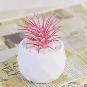 Nuevas Macetas Decorativas de Plástico Realistas para Suculentas, Centro de Mesa, Macetas Artificiales Rosas para Suculentas - Product Image 5
