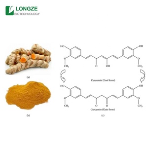 Curcumine <span class=keywords><strong>extra</strong></span> forte, curcuma à absorption élevée, curcumine pure à 95%, poudre de curcumine - Product Image 2