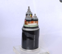 10mm 16mm 70mm 500mm PVC 3 4 5-adriges gepanzertes Kabel 0,6-1kV Typ XLPE-Isolierung Flexibles 3C x 150 mm2 Kupferkabel