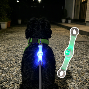Correa con Luz LED RGB para Collar de Mascotas, Arnés, Colgante para Perro con Luz - Product Image 6