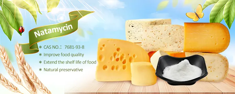 2024 Natamycin CAS 7681-93-8/natamycin Lactose preparation 50% for dairy products cheese milk