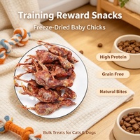 Friandises pour animaux de compagnie : Poulet lyophilisé en vrac pour poussins, riche en protéines, sans céréales, pour digestion sensible, santé de la peau et du pelage
