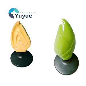 Modelo de Germen de Semilla de Planta, Ayuda Didáctica 3D para la Enseñanza de Botánica y Biología - Product Image 1