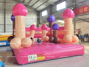 Château gonflable commercial en PVC pour soirée de filles/garçons, combo Big Dick pour soirée de filles/garçons - Product Image 3