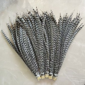 Pluma <span class=keywords><strong>de</strong></span> cola <span class=keywords><strong>de</strong></span> pollo <span class=keywords><strong>de</strong></span> 60-100 cm, pluma <span class=keywords><strong>de</strong></span> fauno silvestre, pluma <span class=keywords><strong>de</strong></span> cola <span class=keywords><strong>de</strong></span> faisán, <span class=keywords><strong>disfraz</strong></span>, decoración para el hogar, pluma para espectáculos YF-044 - Product Image 6