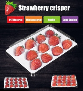 Hộp Nhựa Đựng Thực Phẩm Dâu Tây Trong Suốt Hình Quả Dâu Tây Để Đóng Gói, Khay Lấy Đồ 11 12 15 20 Lỗ Hộp Đựng Dâu Tây Để Đựng Thực Phẩm - Product Image 2