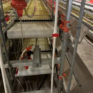 Modern otomatik Broiler tavuk tarım ekipmanları H tipi kanatlı Broiler kafes