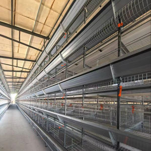 อุปกรณ์ฟาร์มสัตว์ปีก 4 6 7 8 12 ชั้น แบบกรงเลี้ยง<span class=keywords><strong>ไก่</strong></span>ไข่แบบแบตเตอรี่ <span class=keywords><strong>ราคา</strong></span>ประหยัดสำหรับฟาร์ม - Product Image 1