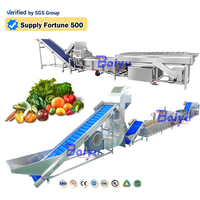 Productielijn voor diepvriesgroenten en -fruit: wassen, snijden, blancheren, dehydrateren, machine voor het verwerken van salade, broccoli, tomaat en maïs